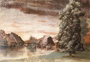 Albrecht Durer The Willow mills on the pegnitz Sweden oil painting artist